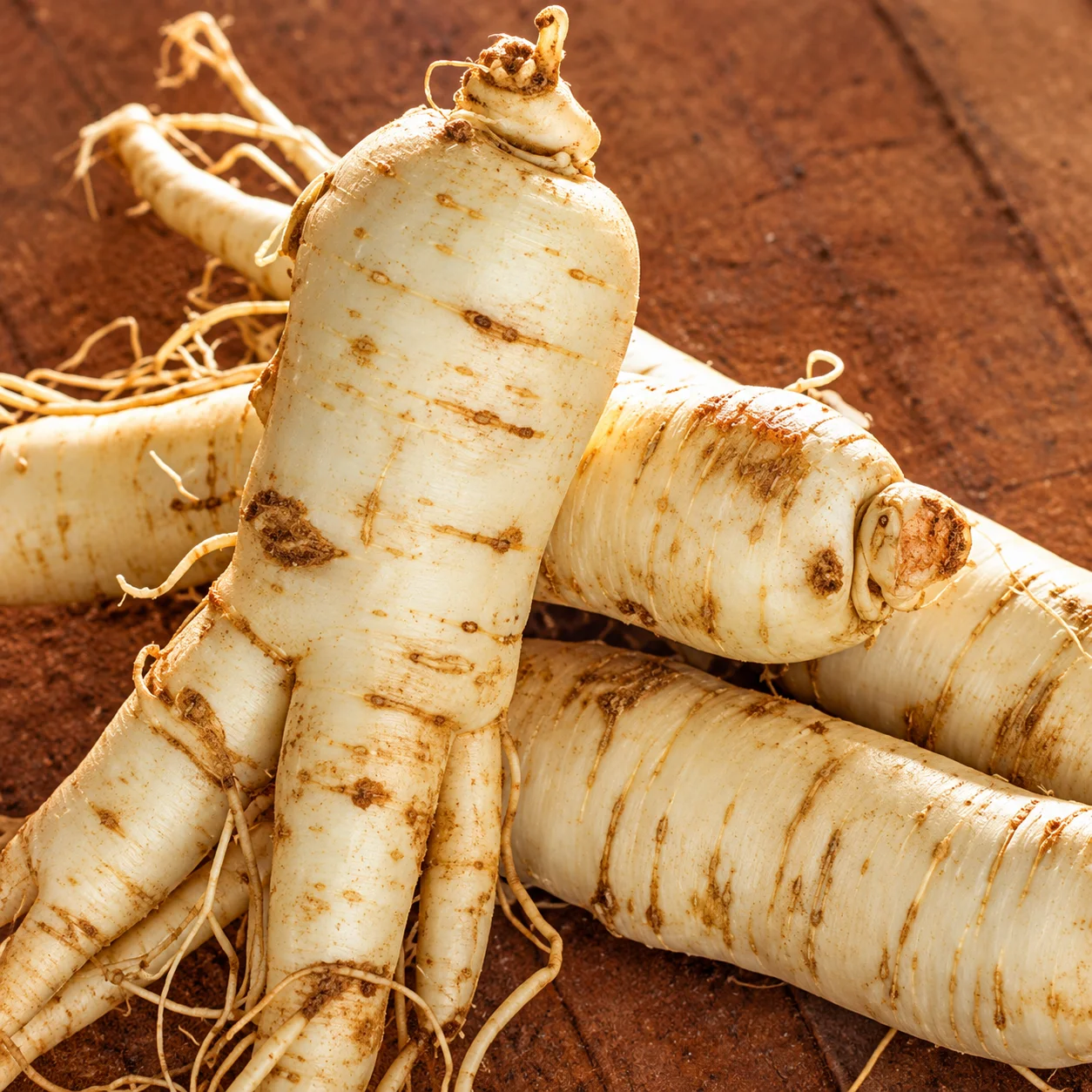 Korean Ginseng